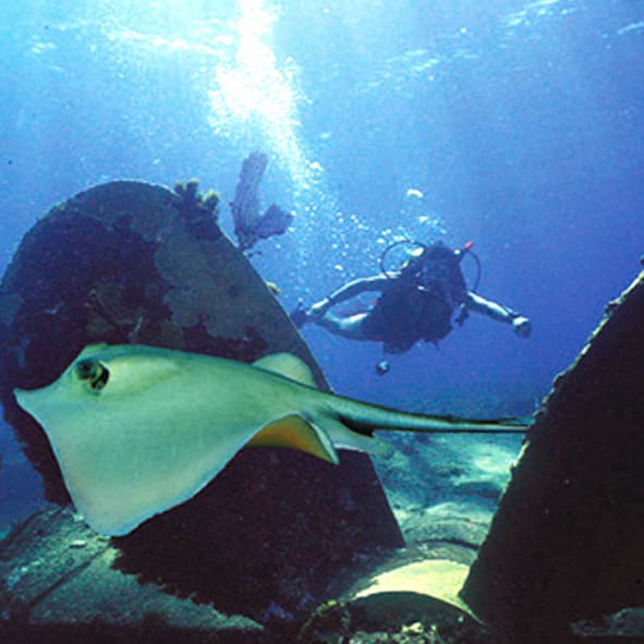 Buceo en Grand Costa Maya
